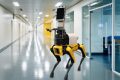 robots