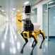 robots
