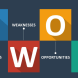SWOT 1